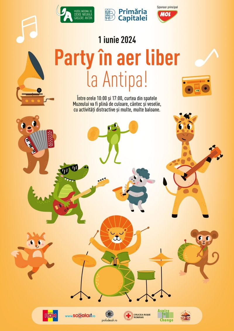 Party in aer liber la Antipa
