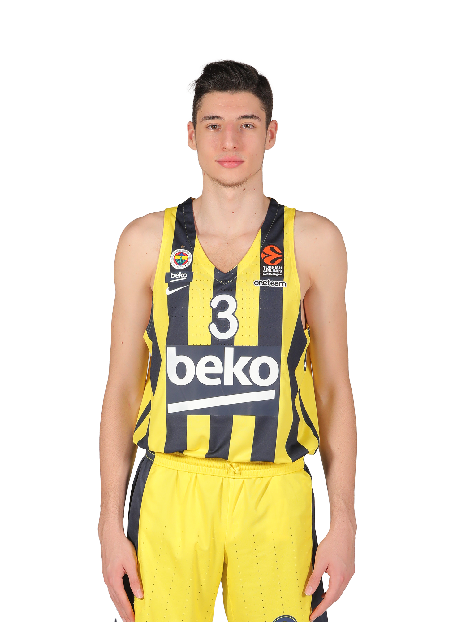Efe Ergi
