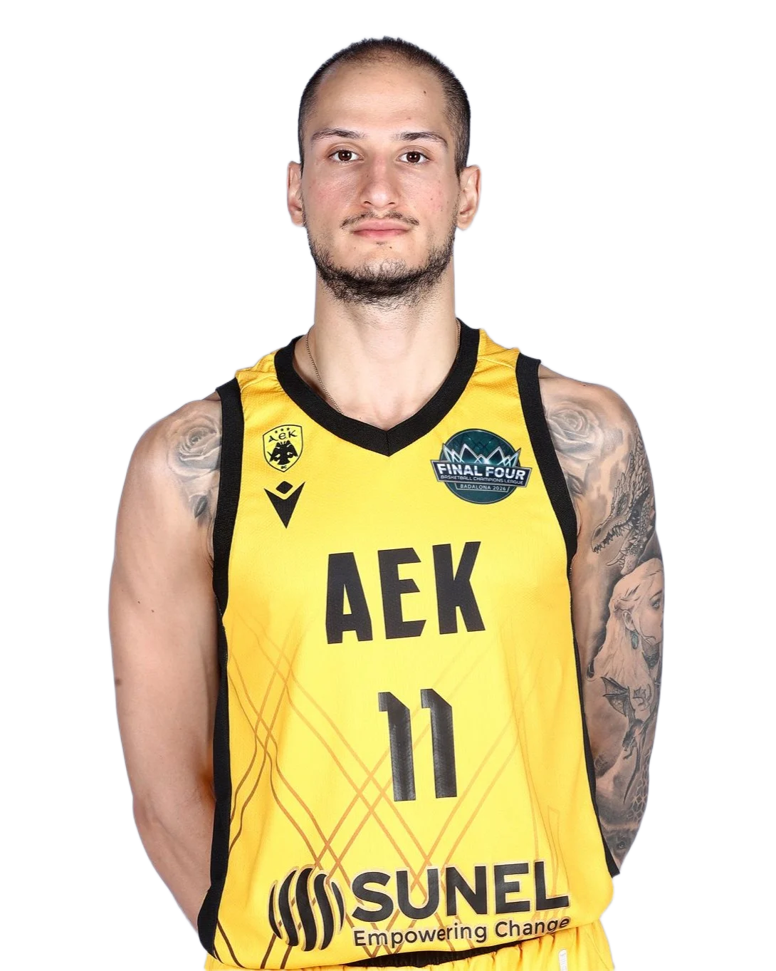 Nikos Arsenopoulos