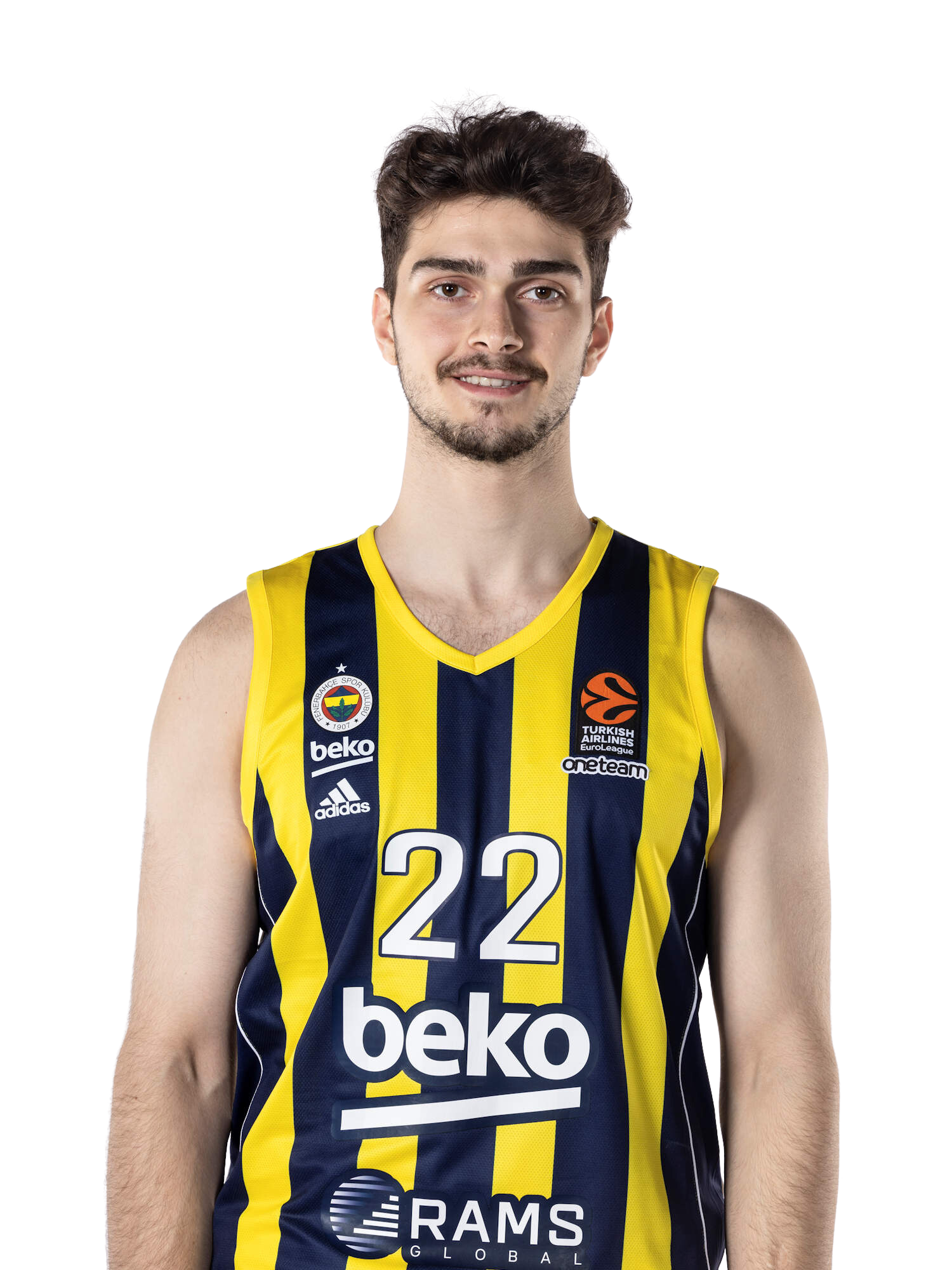 Yigit Mestoglu