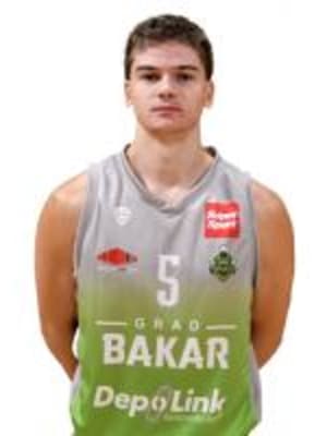 G Kremenovic