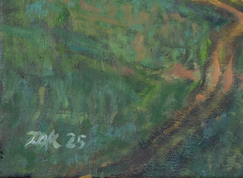 Landscape NR 03 – close-up detail von Manfred Zak