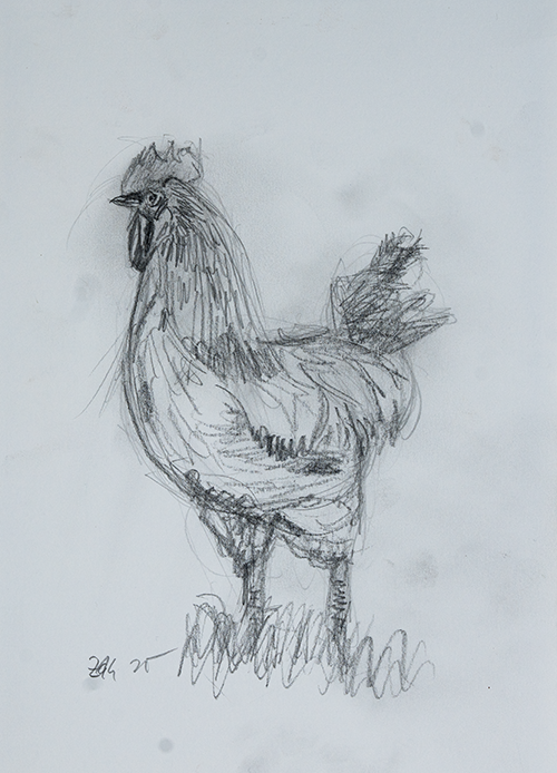 Rooster quick Sketch – Pencil on LineArt Paper, 250gsm, Acid-Free (Bleistift auf LineArt-Papier, 250g/m², säurefrei) von Manfred Zak