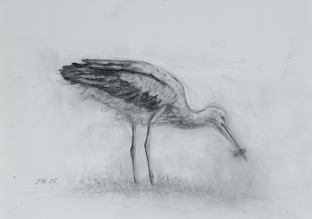 Studies NR 02 – Pencil on LineArt Paper, 250gsm, Acid-Free (Bleistift auf LineArt-Papier, 250g/m², säurefrei) von Manfred Zak