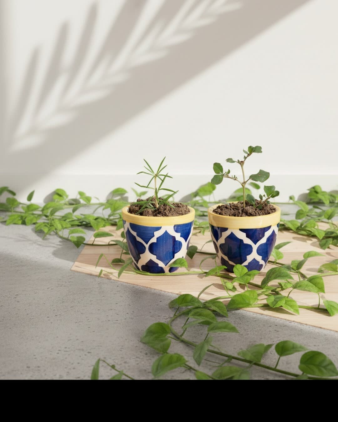 Planters