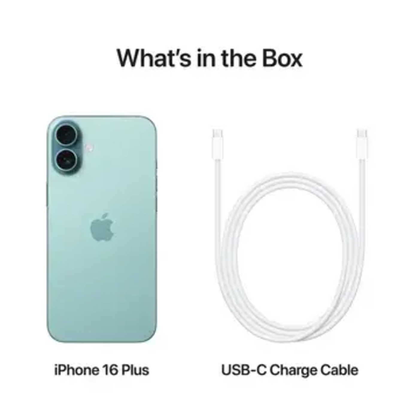 Apple iPhone 16 Plus 256GB Teal 5G With FaceTime - Middle East Version image 3