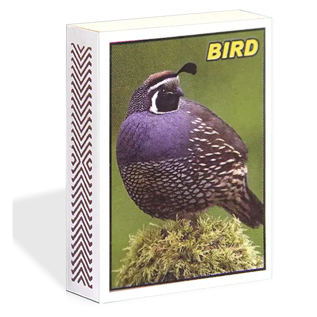 Bird Safety Matches - LARGE
