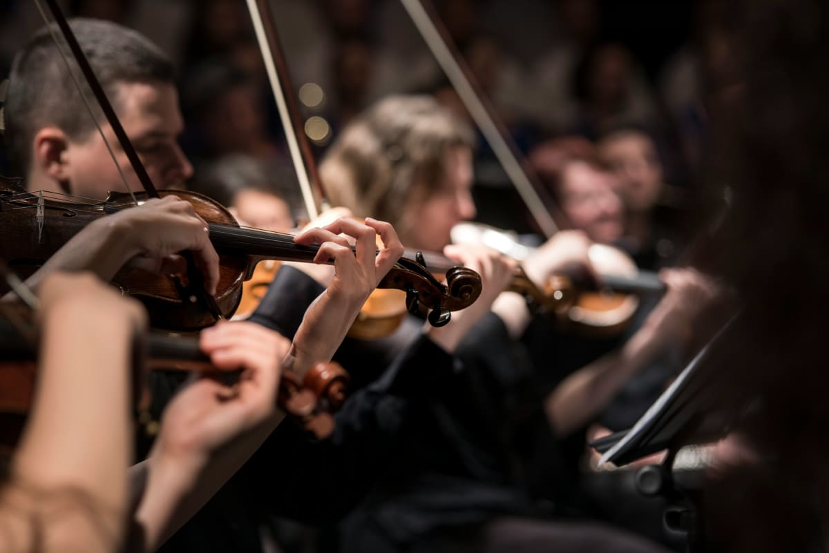 Image of Orchestra Member