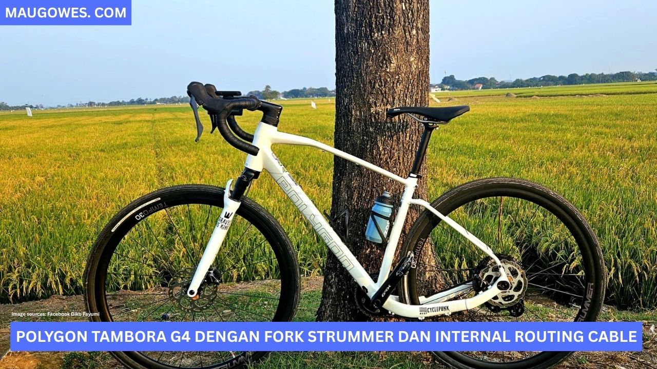 Bikecheck Polygon Tambora G4 Dengan Shock Gravel dari Strummer