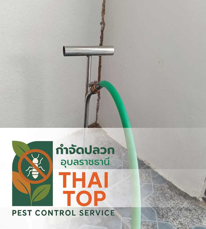 อัดน้ำยาปลวกลงดิน – สร้างแนวกั้นปลวกก่อนขึ้นบ้าน (Soil Injection for Termite Control)