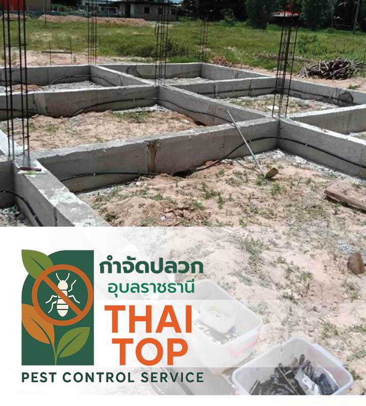 ทำไมต้องเลือกบริการอัดน้ำยาปลวกลงดิน?