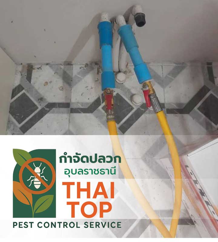 จุดเด่นของบริการ Soil Injection