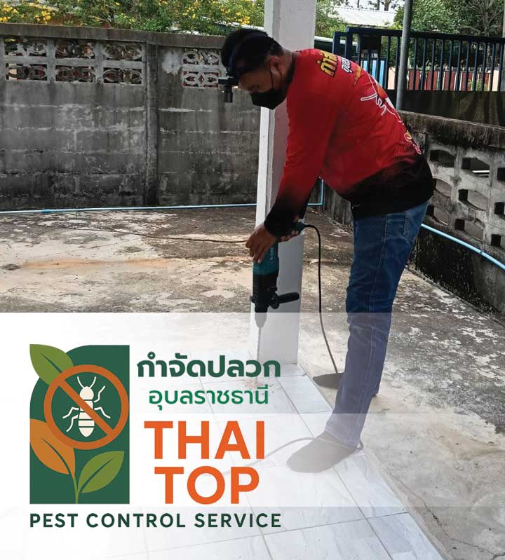ข้อมูลทางเทคนิคและอัตราการใช้