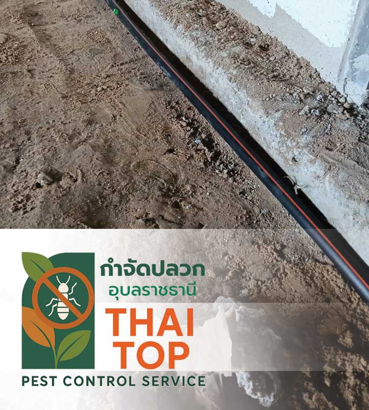 เหมาะกับใคร? (Use Cases)