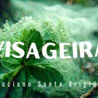 Imagem de uma planta emitindo uma fumaça fantasmagórica próximo a um rio