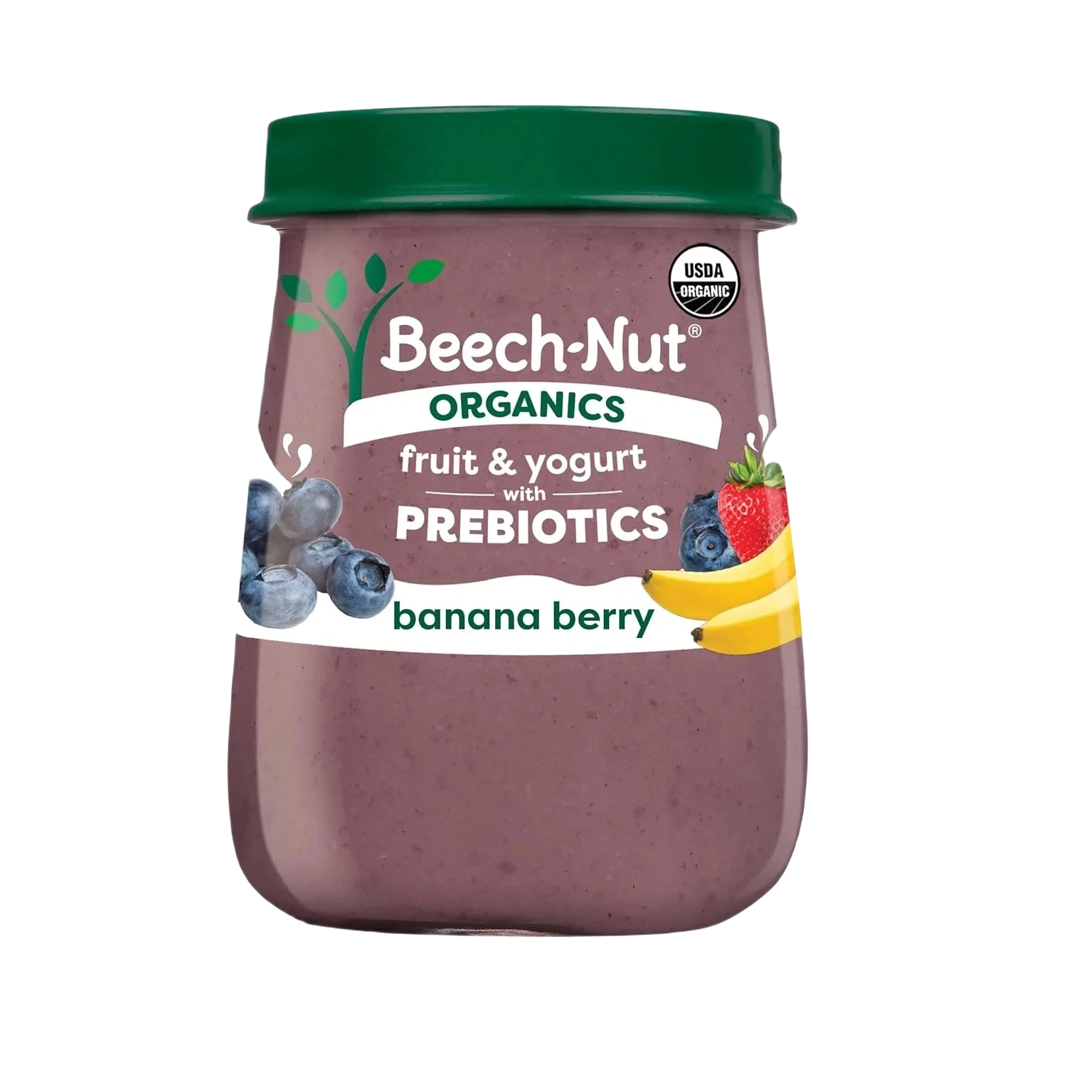 Beech-nut Organics Fruit & Yogurt With Prebiotics Banana Berry