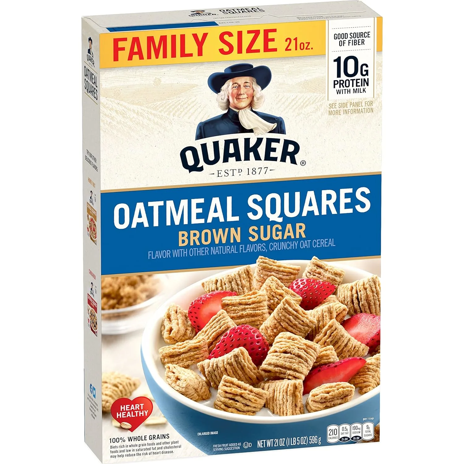 Oatmeal Squares Brown Sugar
