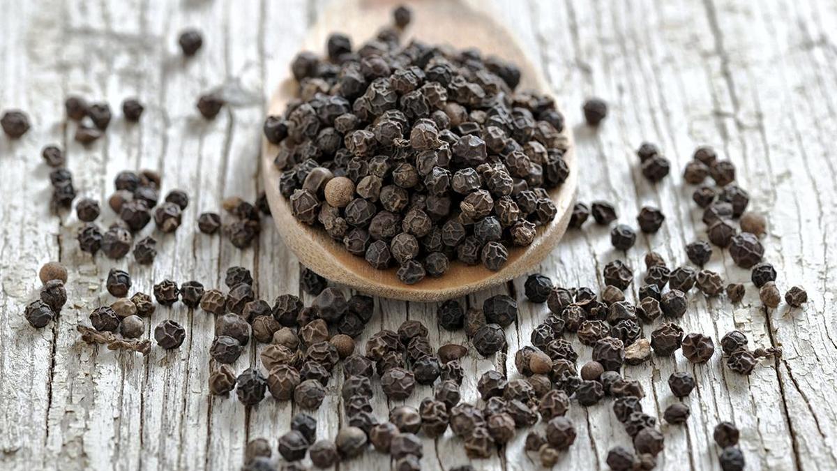Industry players welcome relaunch of NCDEX Black Pepper Futures, call for strict regulations