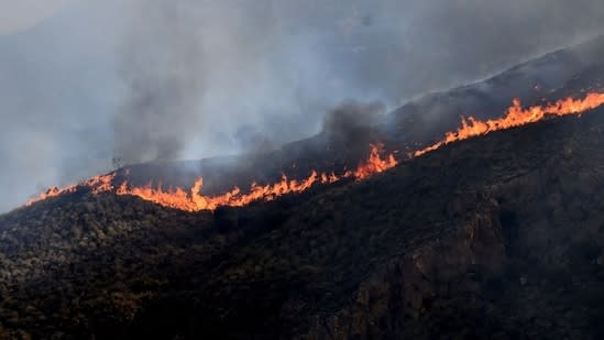 What caused Spain's deadly wildfire? Experts explain the blaze that killed 12