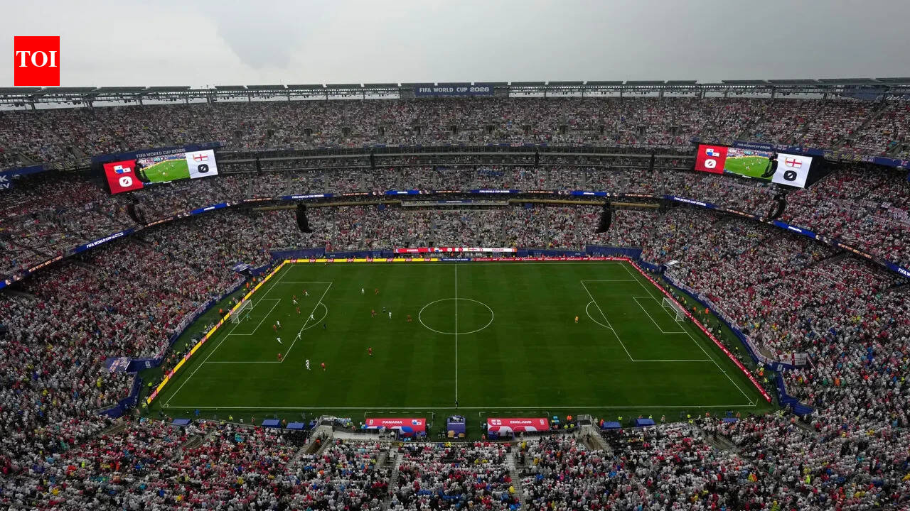 FIFA puts World Cup final pitch up for sale at Rs. 42,989 per piece