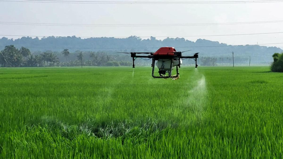 AI to help check genuineness of farm data in A.P.