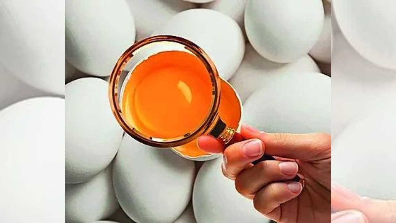 Rotten eggs, spoiled parathas: Swiggy gets 9 notices from FSSAI