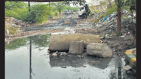 Noida Sector 46 residents flag ‘rampant’ garbage dumping