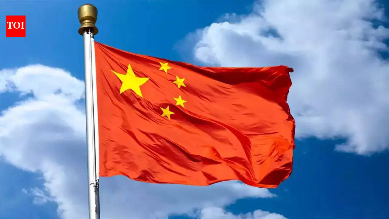 China may have a message for Airbnb, Nvidia and other CEOs impressed with Chinese models
