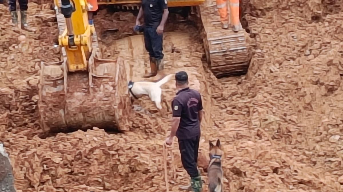 Wayanad debris slip: Lone missing project manager’s body recovered; death toll rises to eight