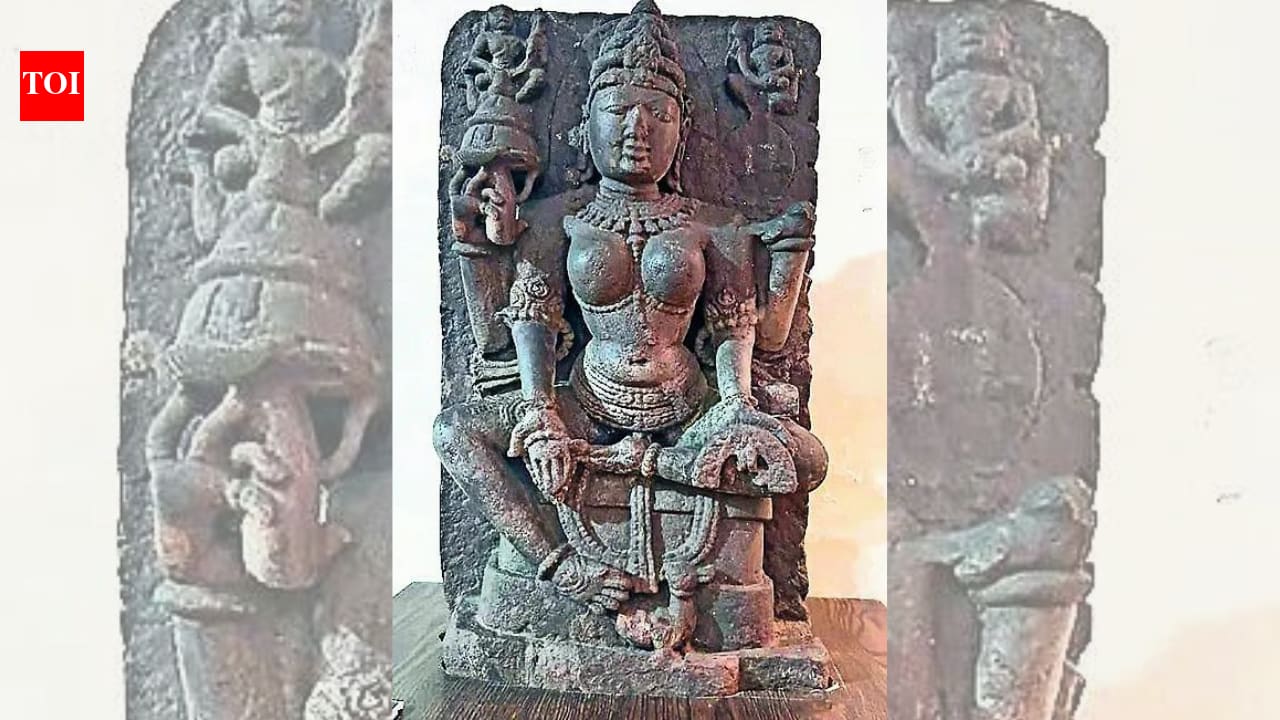 Dhar's Saraswati is Gayatri: Science ends 900-year mix-up