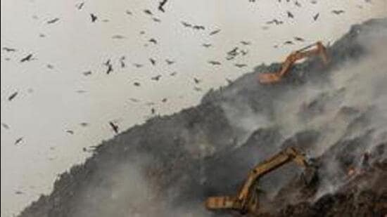 Flaws in Delhi landfill ops take centre stage, MCD plans to ramp up facilities