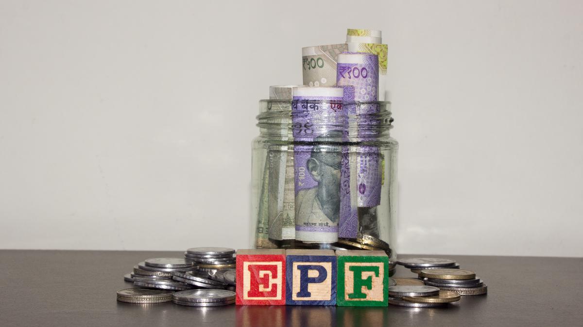EPFO Amnesty Scheme 2026: What is it and who is eligible?
