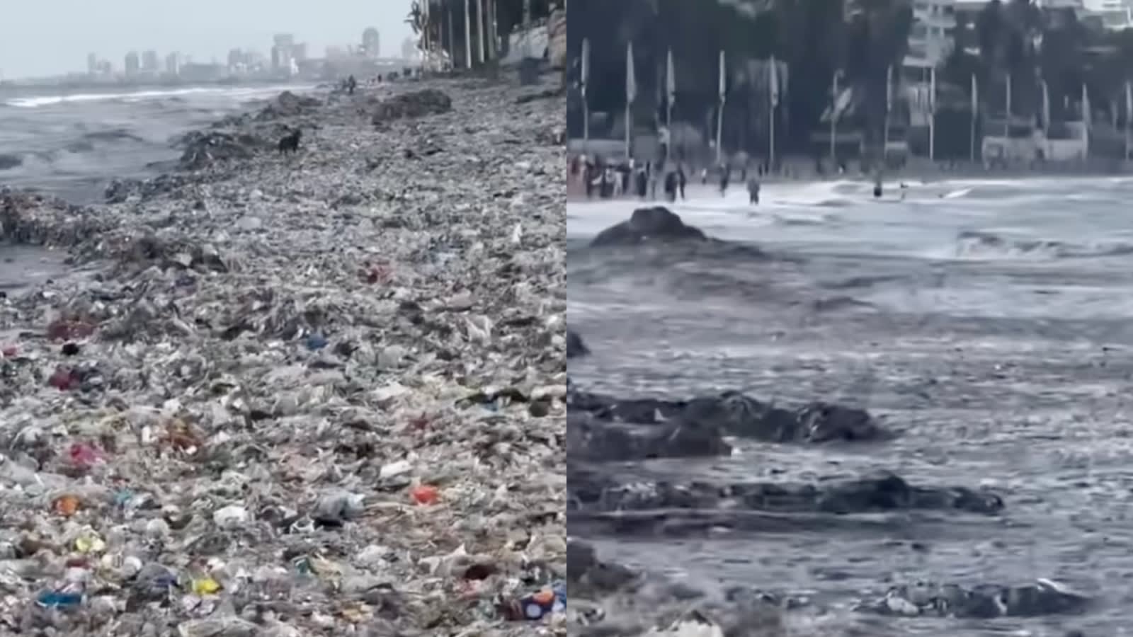 Watch: Garbage, sewage waste pile up on Mumbai’s Juhu Beach