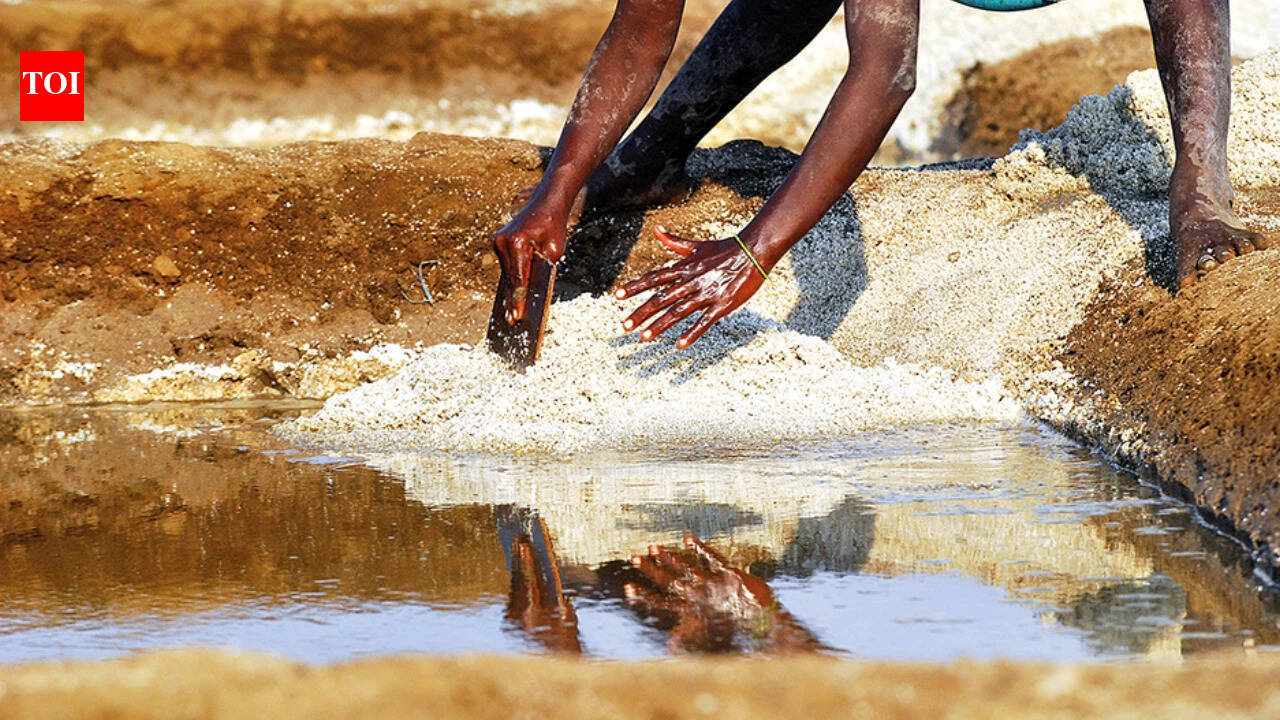 White gold to memory: How Goa's 1,500-year-old salt pans are vanishing