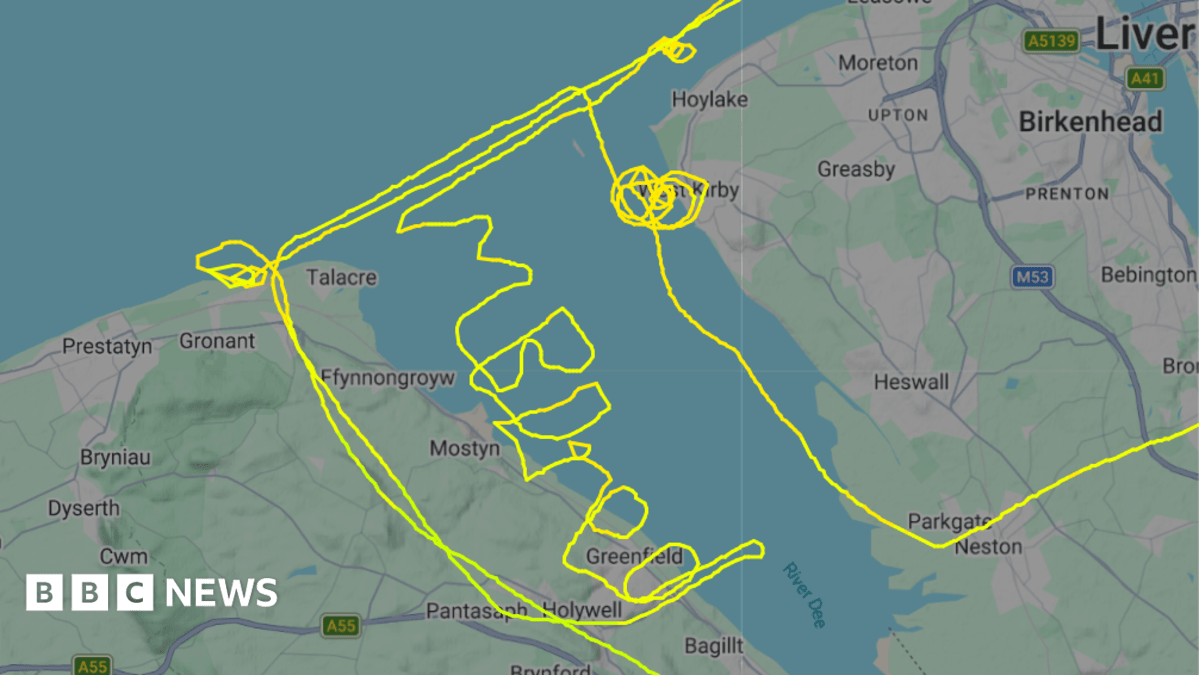 Pilot writes 'I'm bored' in sky during flight