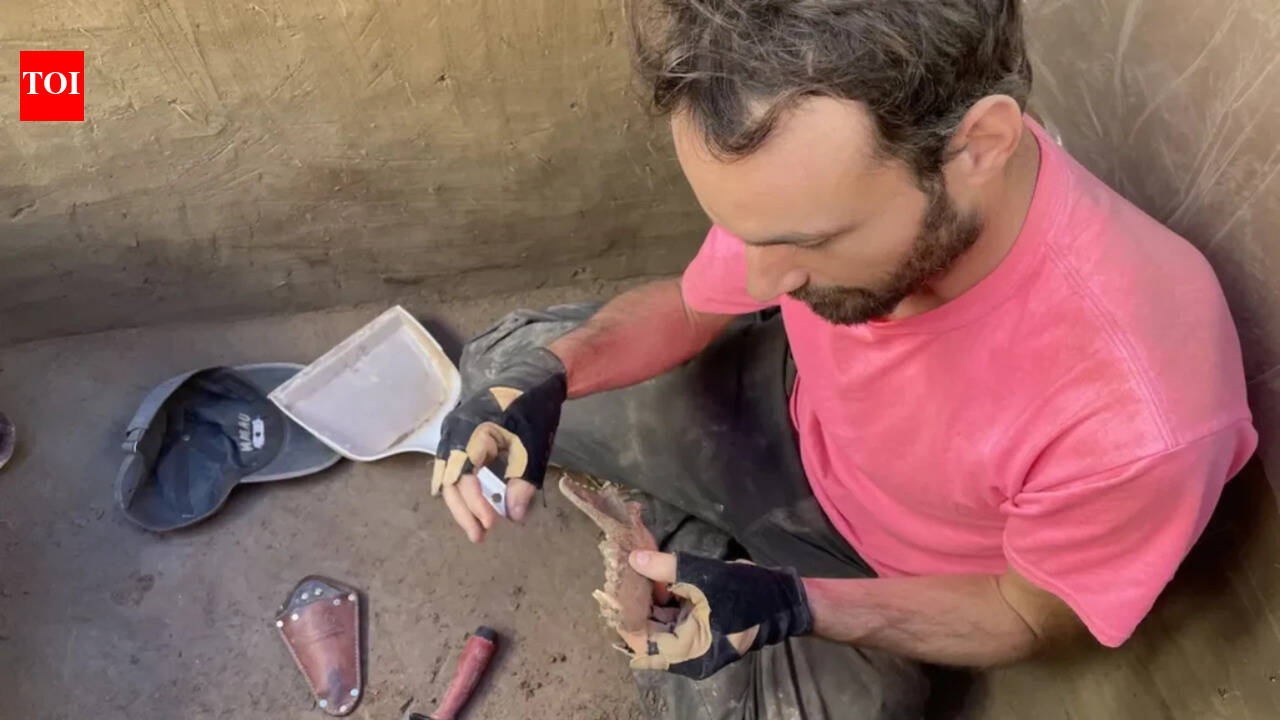 Humans and dogs bonded 12,000 years ago over salmon, scientists find