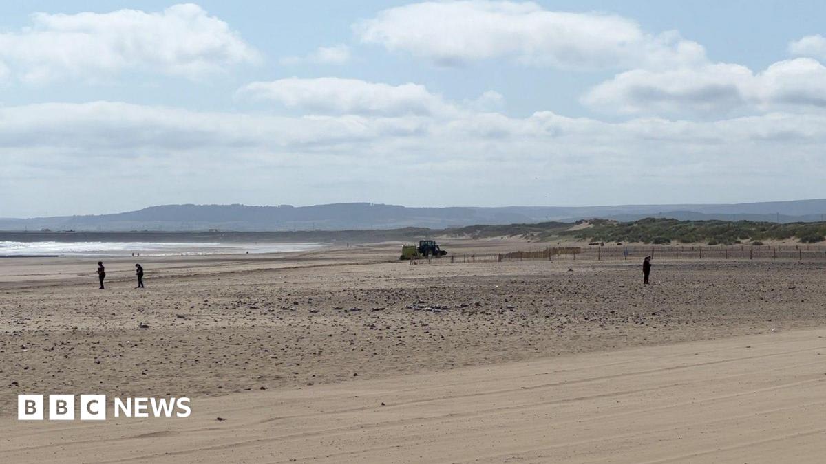 Dad who died helping two children in sea named