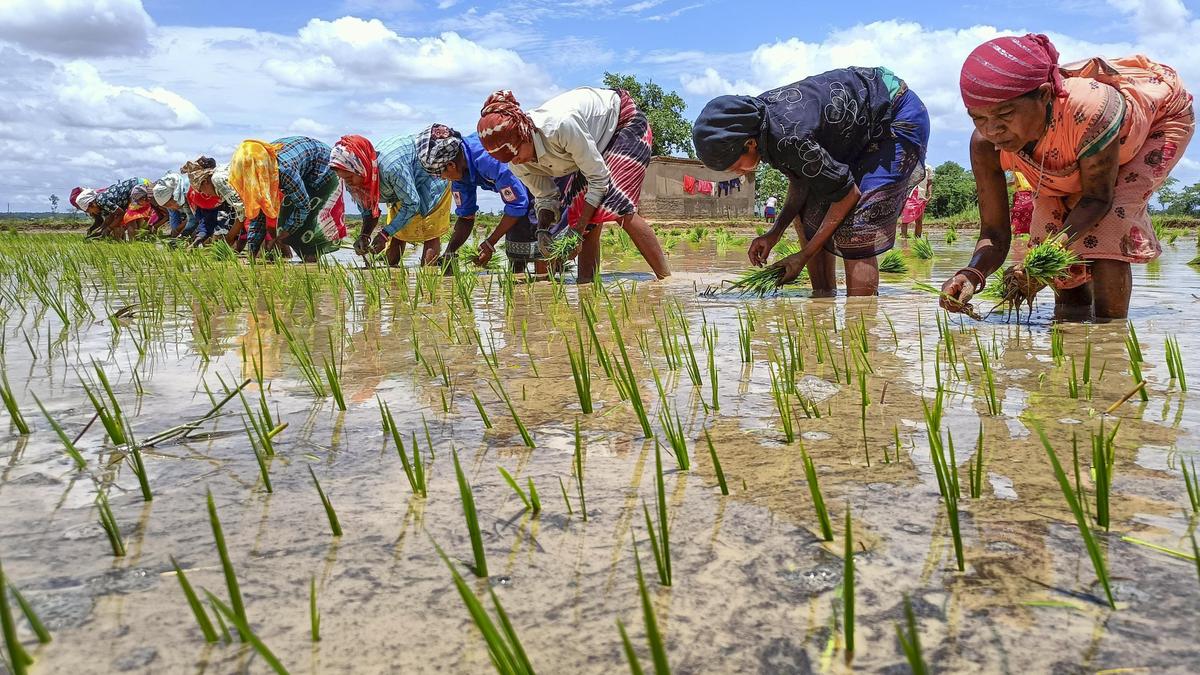 Uproar in Chhattisgarh assembly over alleged shortage of fertilisers for farmers