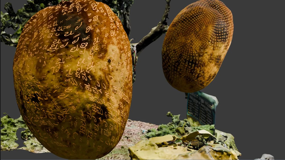 This artist is documenting Bengaluru’s mango season in the face of climate change and ecological loss