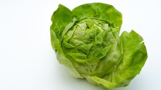 Cyclospora outbreak: Is lettuce causing over 3,000 diarrhea cases in Michigan, Ohio? What officials say