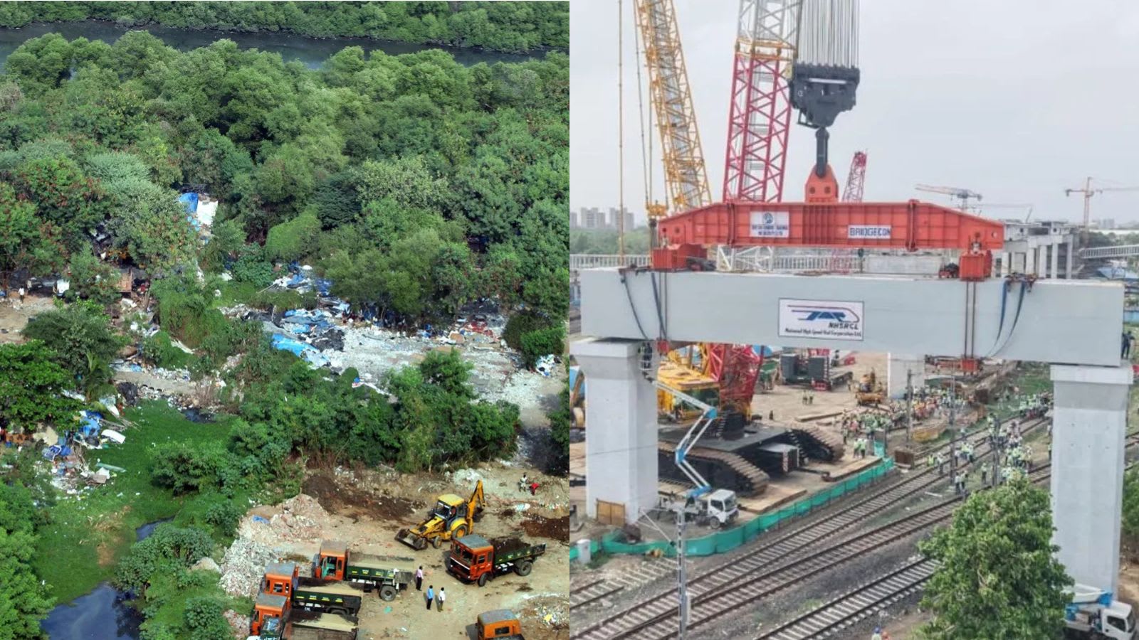 Bombay High Court bats for afforestation near Mumbai-Ahmedabad bullet train project