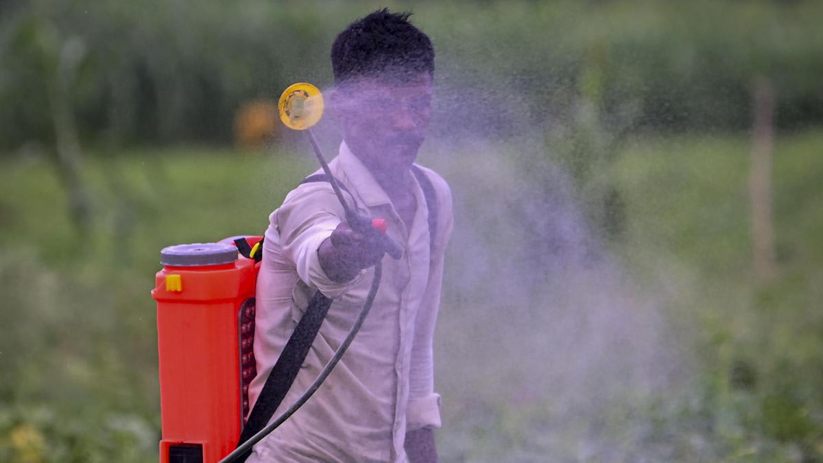 Centre bans paraquat dichloride, a herbicide linked to thousands of self-harm, homicide and accidental deaths