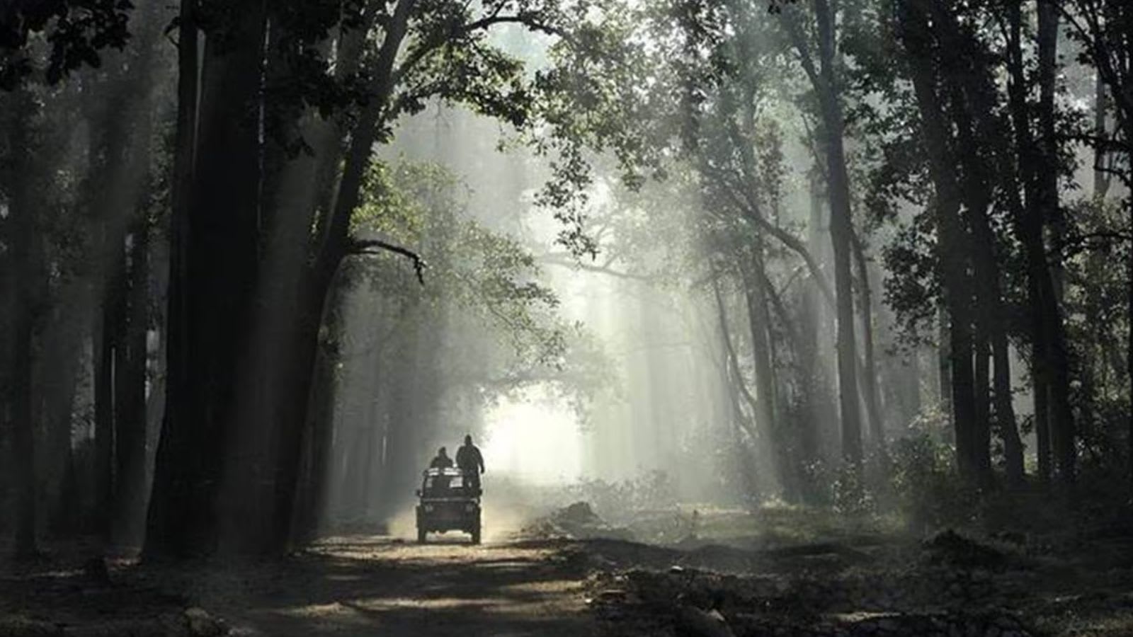 Tourism can unlock India’s journey to a new milestone