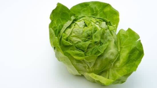 Cyclospora causes 3,000 diarrhea cases in US: Gastroenterologist Dr Salhab shares foods to avoid in parasite outbreak