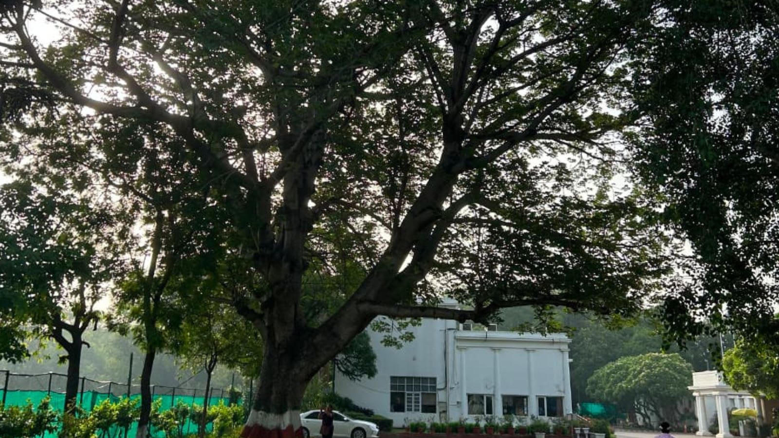 What’s at stake in Delhi Gymkhana land row? Nearly 500 decades-old trees