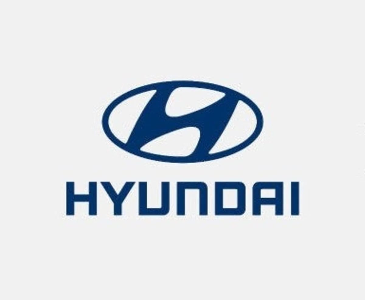 Hyundai workers in strike action over wages, job security