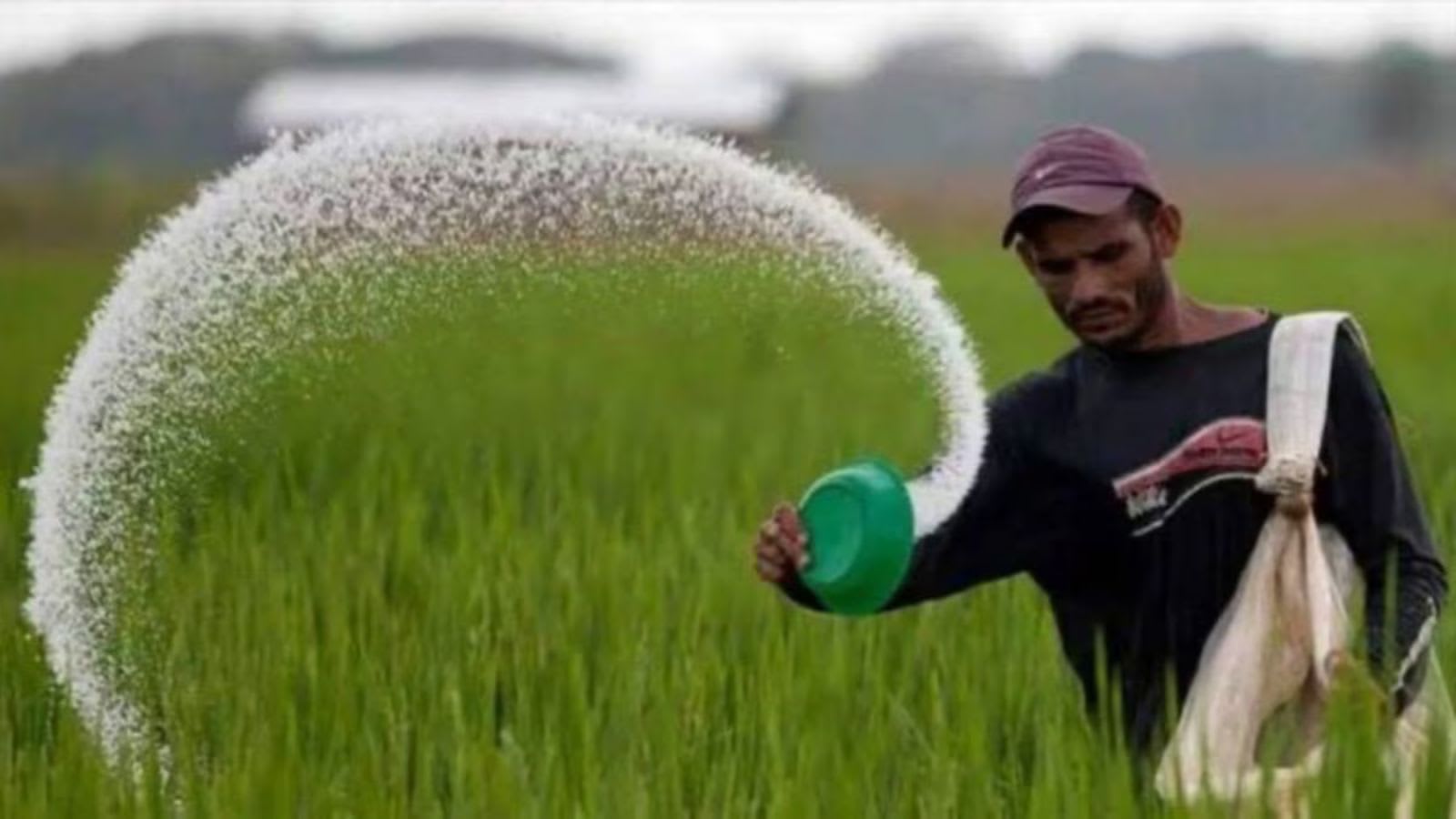 Cabinet okays new urea policy. What changes?