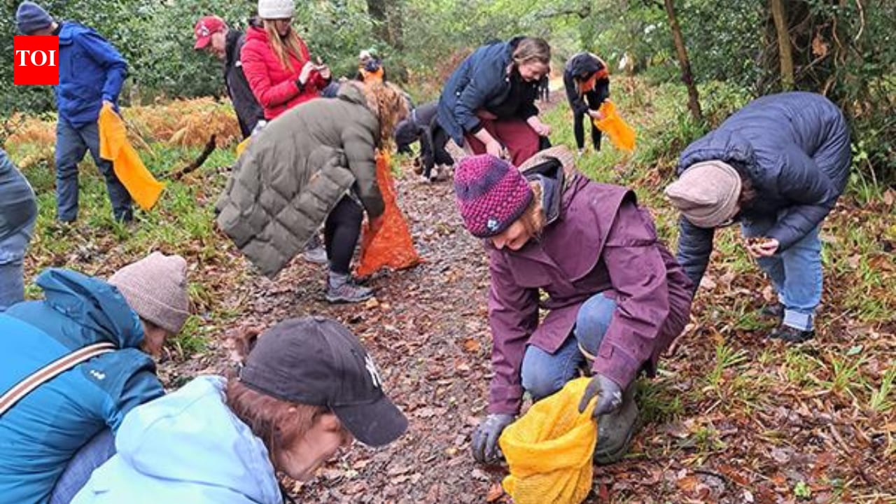 100 volunteers collected 11m seeds to restore Scotland's disappearing rainforest