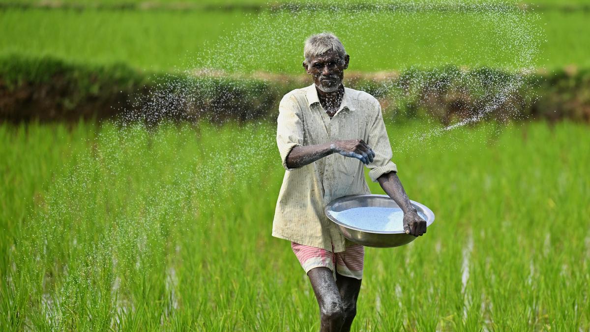 Cabinet okays National Investment Policy to add fresh 10 million tons urea capacity