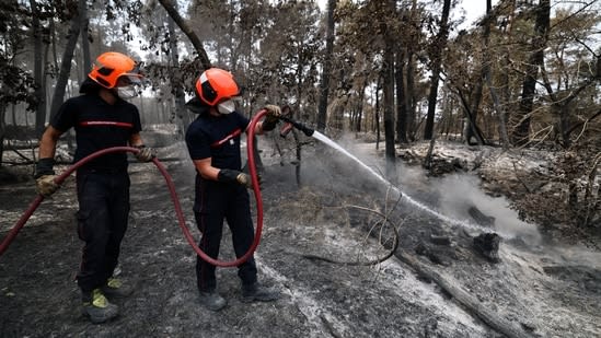 Wildfires in Canada and Minnesota trigger poor air quality alerts across Midwest and Northeast US